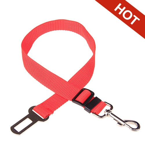 Cat Seat Belt For Pets